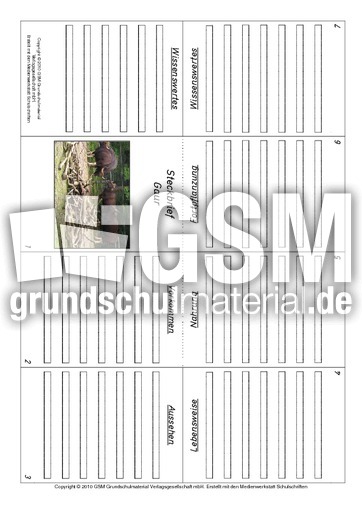 Faltbuch-Gaur.pdf
